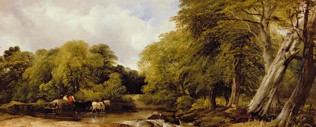 A woody river scene